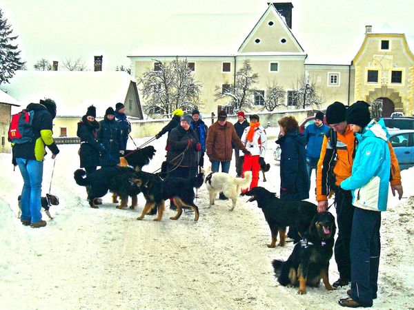 Sammeln am Parkplatz vor dem Schloss Kreisbach